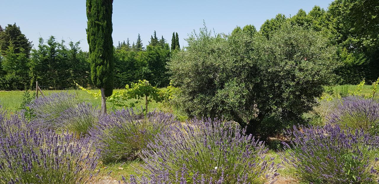 Bed and Breakfast La Pastorale Lagnes Exterior foto