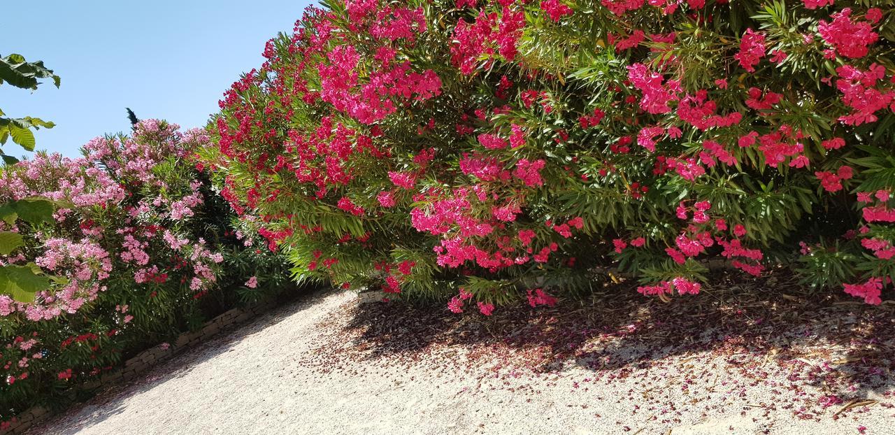 Bed and Breakfast La Pastorale Lagnes Exterior foto